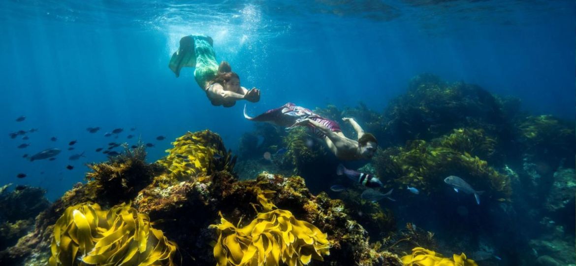 Mermaids at Poor Knight Islands, New Zealand