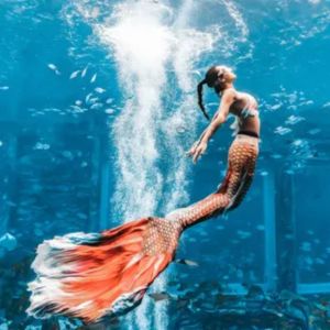 Performance Mermaid Swim Training – Senior Pod